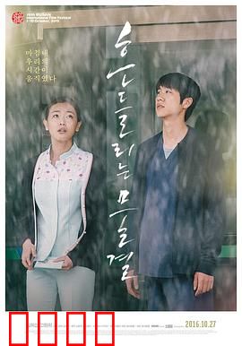 绽放2015：梦想之光