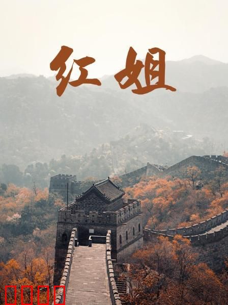 红姐2017：最后的江湖