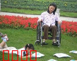 小小心愿：生命的微笑