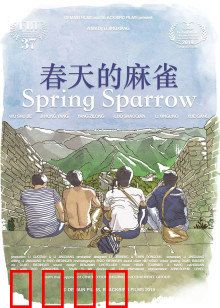 春天的麻雀：重生之翼