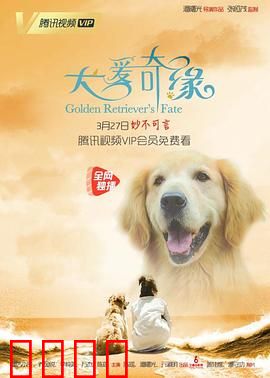 犬爱奇缘：前世今生