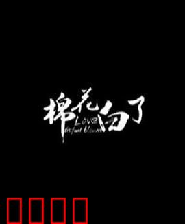 棉花白了：丰收的代价