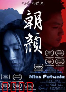 朝颜：绽放的亲情