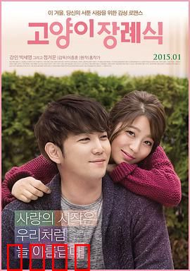 猫的葬礼：家庭的裂痕