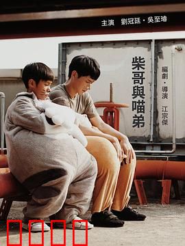 柴哥与喵弟：都市奇缘