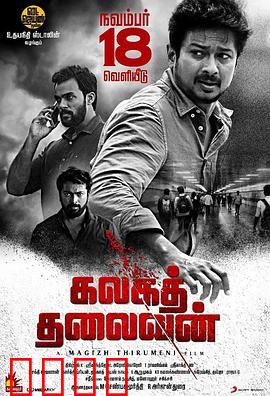 泄密者死：正义的代价