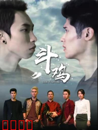 斗鸡：疯狂的赌博人生