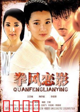 拳风恋影：不期而遇的爱