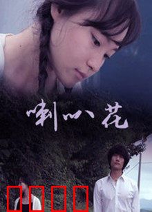 牵牛花：爱与记忆的绽放