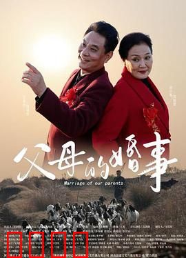 父母的婚事：再婚风波