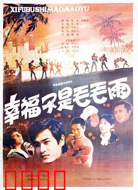 幸福不是毛毛雨：人生百味皆幸福