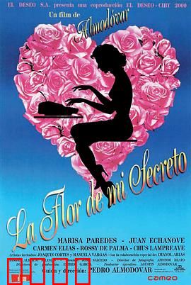 我的秘密之花：破碎的玫瑰