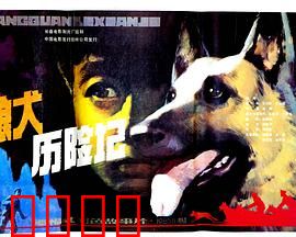 狼犬历险记：忠犬舍命护主