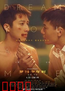 梦回少年时：重拾初心之梦