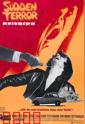 小英雄与大刺客：逆袭之路