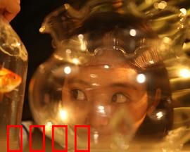 樓上樓下：邻里暗战