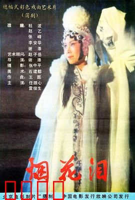 烟花泪：青楼悲歌