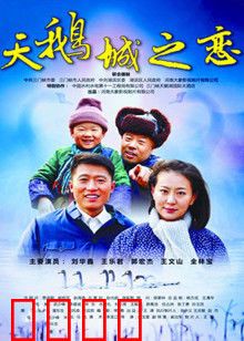 天鹅城之恋：舞鞋下的秘密