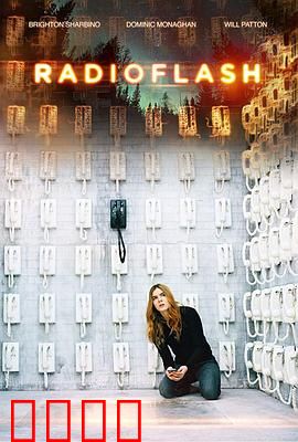 电磁脉冲：末世求生