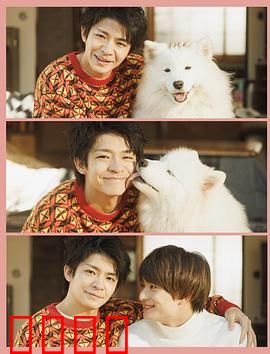 爱你汪汪：忠犬奇缘