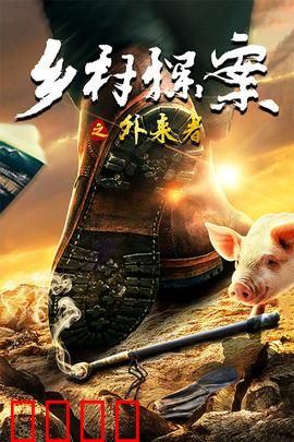 乡村探案之外来者：迷雾重重