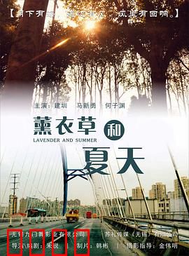 薰衣草和夏天：紫色之恋