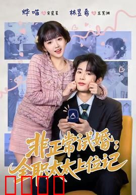 非正常试婚：契约夫妻的闹剧