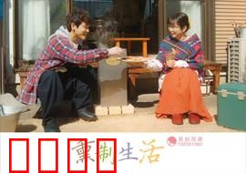 熏制生活：烟熏中的哲学