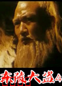 东陵大盗：惊天盗墓案