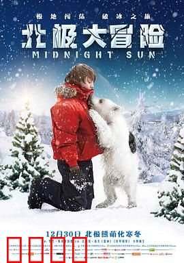 北极大冒险：冰原守护者