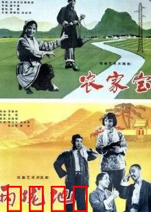 农家宝：勤劳致富的乡村传奇