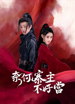 奈何寨主不好当：笑中带泪