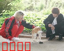 难破MG5特别篇：暴走族与青春