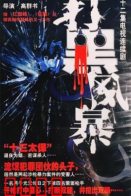 打黑风暴：铁拳出击