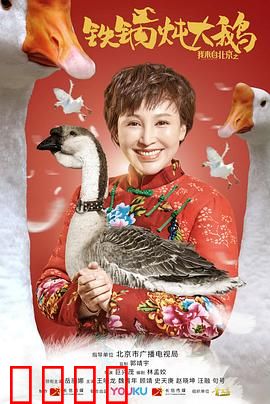 我来自北京之铁锅炖大鹅：返乡创业记