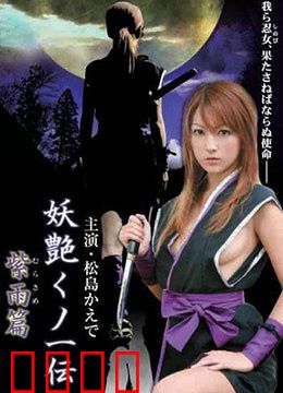 妖艳女忍者传紫雨篇：血色复仇