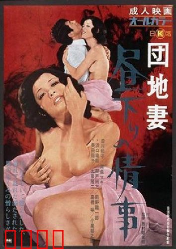 団地妻 昼下りの情事：白日的秘密