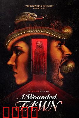 受伤的小鹿：心灵的救赎