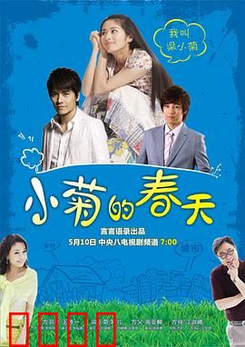 小菊的春天：坚韧绽放