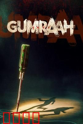 双面线索：真相迷宫