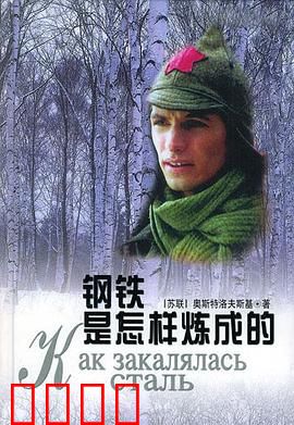 钢铁是怎样炼成的：少年英雄的炼成