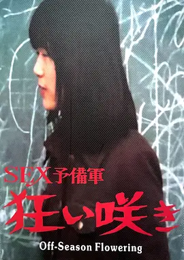 淡季花开：逆旅芬芳