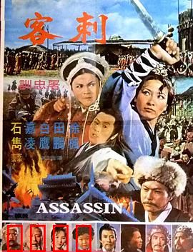 刺客：暗夜孤影