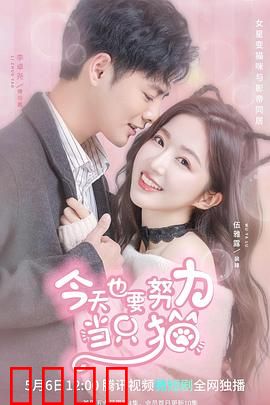 今天也要努力当只猫：逆袭猫生