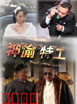 神偷特工：绝密行动