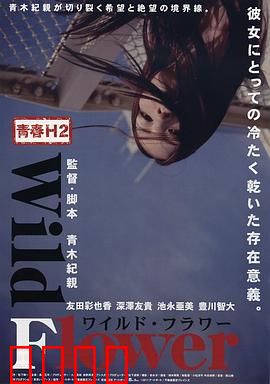青春H2之狂野之花：野性绽放