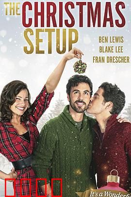 圣诞速配：爱在圣诞夜