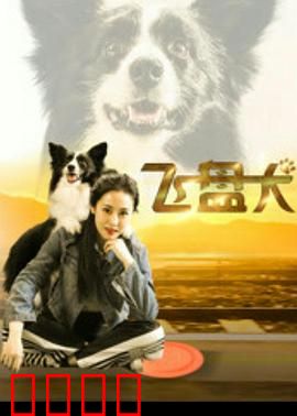 飞盘犬：萌宠逆袭夺冠