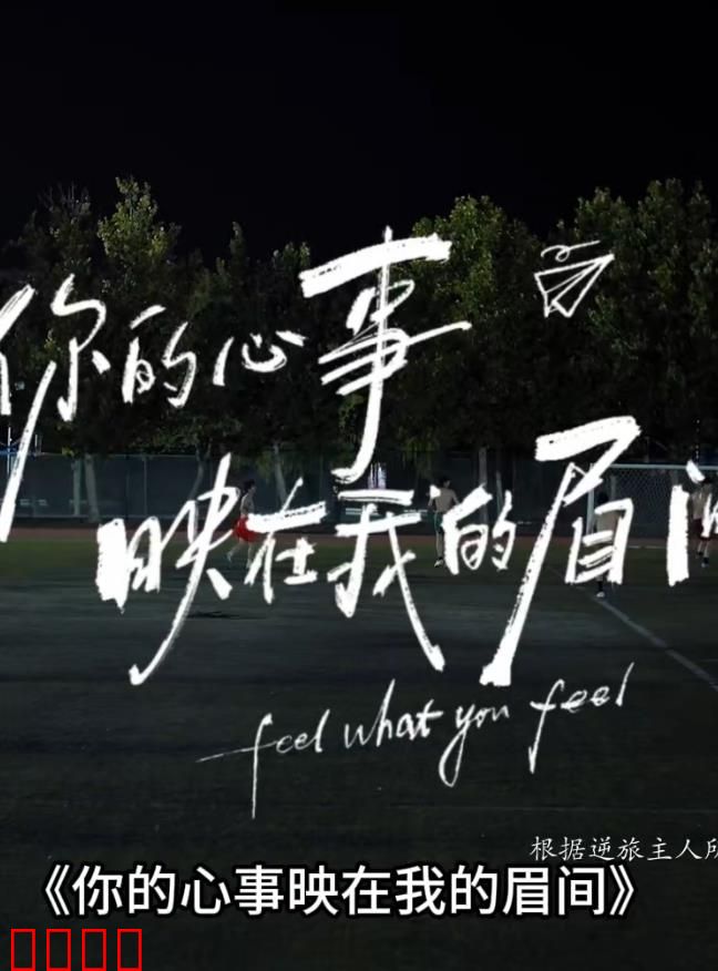 你的心事映在我的眉间：错失的爱