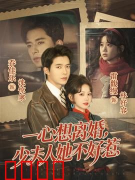 一心想离婚，少夫人她不好惹：霸气离婚路